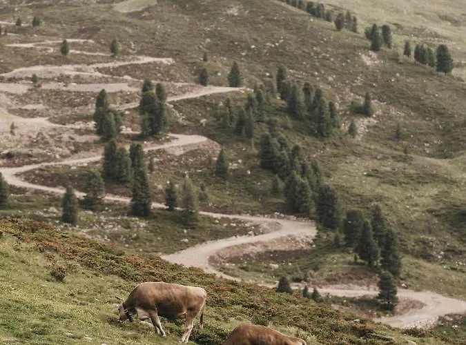 Szálloda Vaya Kühtai
